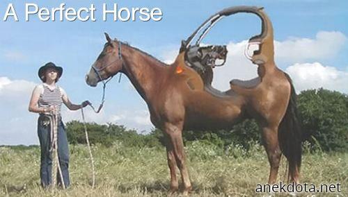 Ένα τέλειο άλογο 