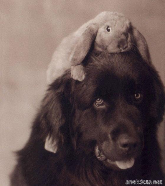 Περίεργα φιλαράκια 