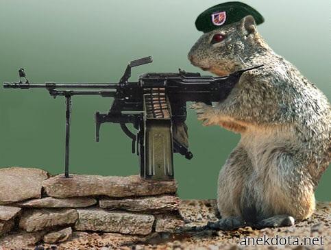 You’re in the army now 