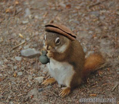 Μίνι Χειροβομβίδα 