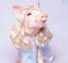 Barbpig