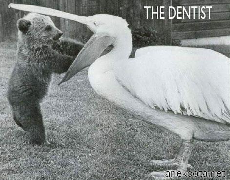 Ο Οδοντίατρος 