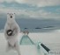 Polar bowling