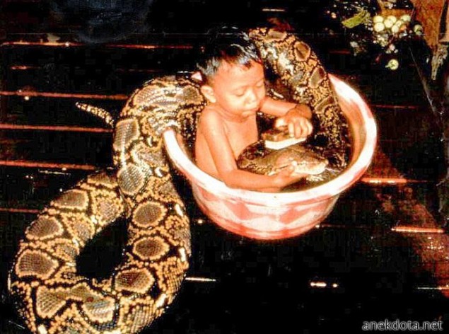 Πλένω το φιδάκι μου 