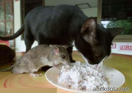 Να φάω λίγο 