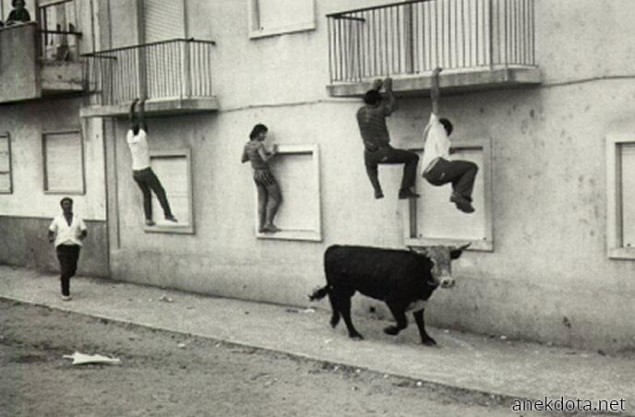 Ένας μικρός πανικός 