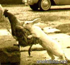 Έτσι γίνονται τα πασχαλινά αυγά 