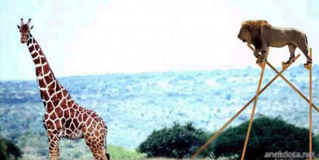 Είχε σχέδιο 