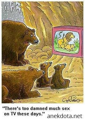 Too much sex on tv 