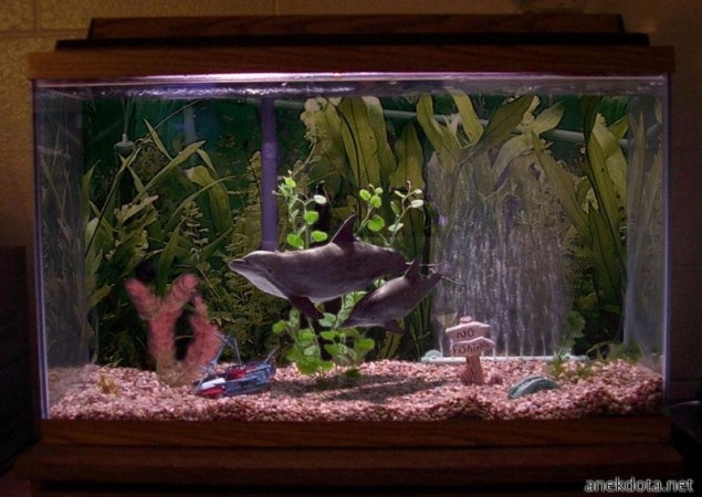 Πολύ προχό ενιδρείο 