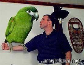 Μεγάλο πουλί στο χέρι 