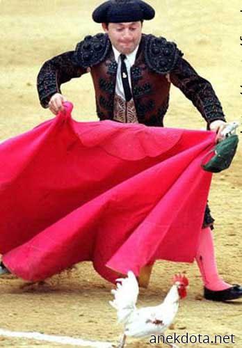 Κοκορομαχίες 