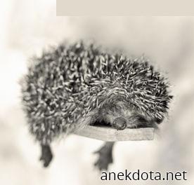 Επικίνδυνα γλυκούλι 