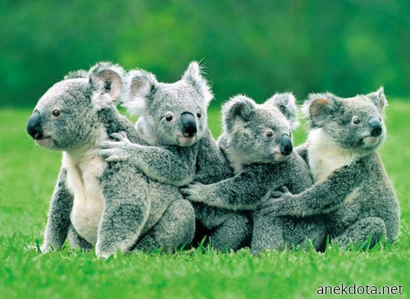 Τι έχει εκεί; 