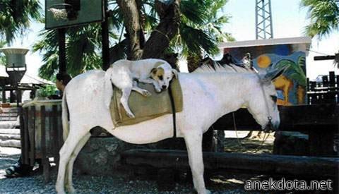 Με πας λίγο πιο κάτω 