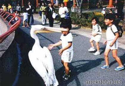 Δεν αγγίζουμε 