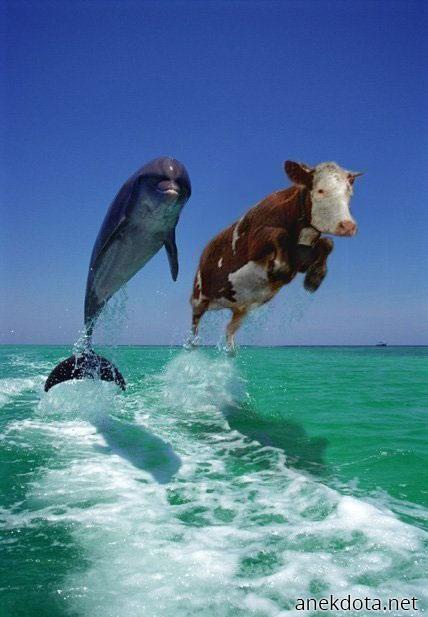 Έλα πάμε μαζί!! 