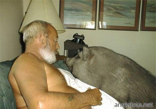 Ταιριάζουν 