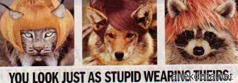 Τα περουκίνια 