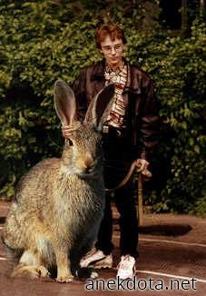 Ποιός είναι το αφεντικό; 