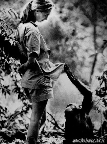 Ας ρίξω μια ματιά 