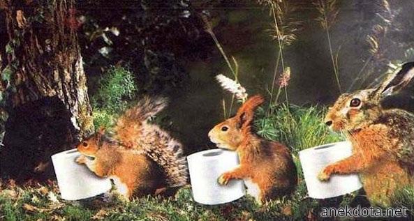 Ας μαζέψουμε να έχουμε 