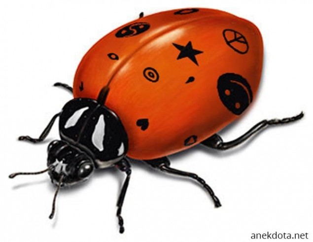 Καλλιτεχνική πασχαλίτσα 