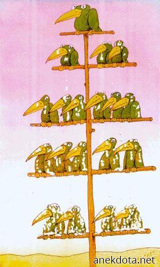 Ο απο πάνω τον απο κάτω 