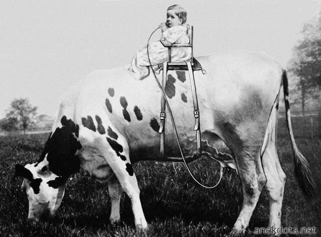 Ο καλύτερος θηλασμός 