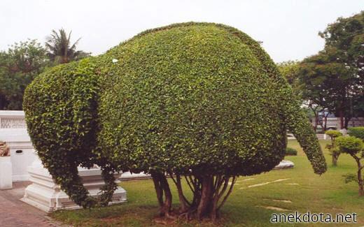 Καλιτεχνίες κυπουρικής 