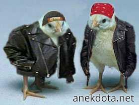 Chick metal 