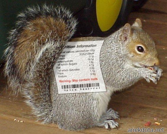 Μπορεί να περιέχει καρύδια 