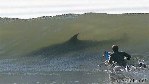Ούτε λίγο σέρφιν δε μπορεί να κάνει κανείς 
