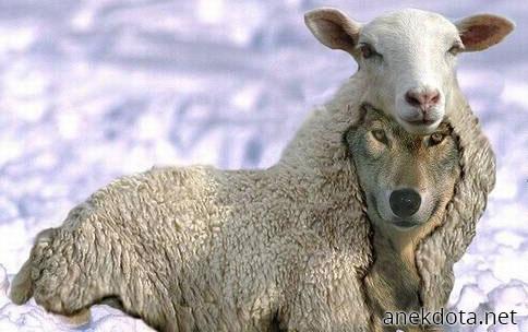 Πονηρή μεταμφίεση 