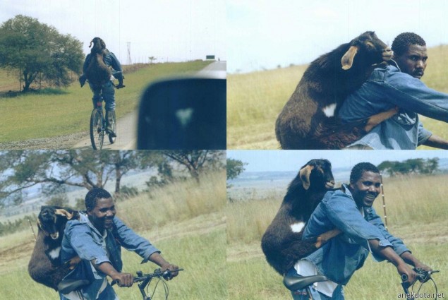 Βολτούλα με το ποδήλατο 