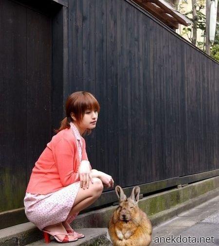 Ίδιο βλέμμα 