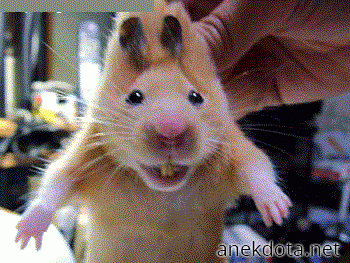 Κατεργαράκος 