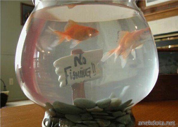 No fishing 