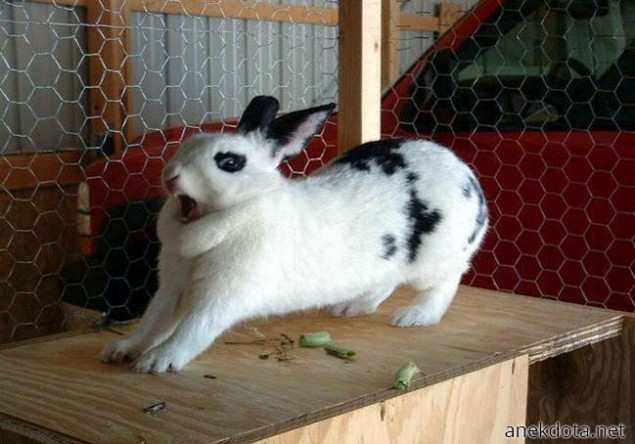 Ξαφνιάστηκε 