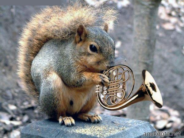 Ένας μικρός τρομπετίστας 