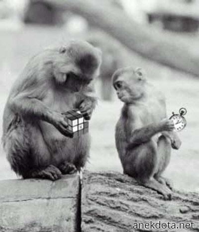 Λες να τα καταφέρεις; 