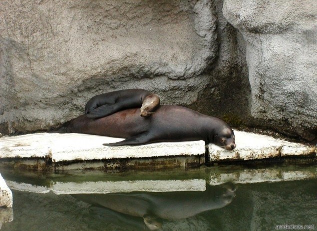 Ο καλύτερος ύπνος 