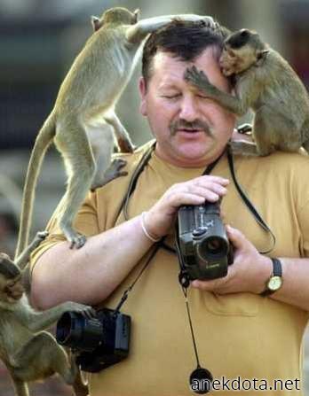 Ενοχλητικοί τύποι 