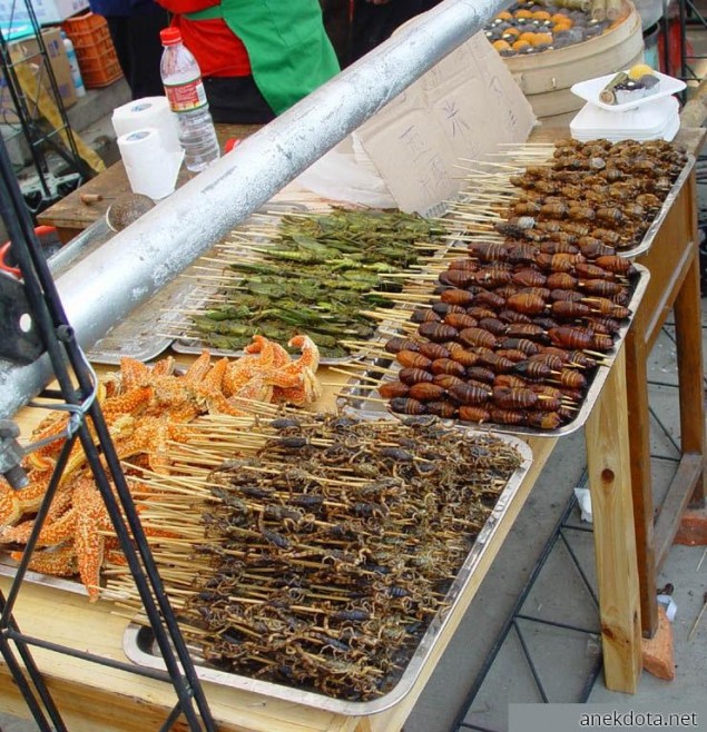 Καλοφάγωτα 