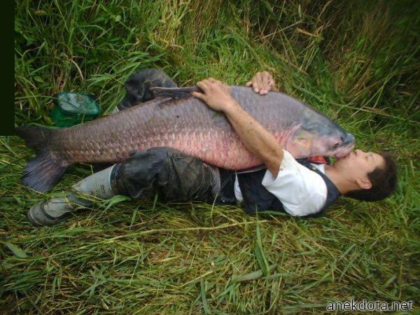 Ω ψαρούκλα αγάπη μου 