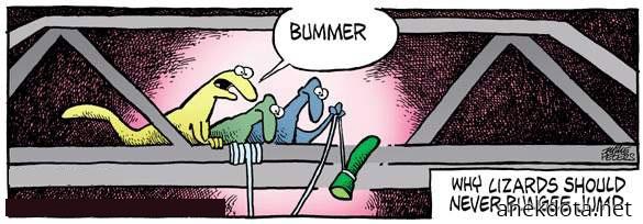 Γιατί οι σάυρες δέν κάνουν bungee jumping 