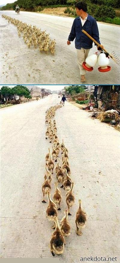 Όλοι εδώ παιδιά; 