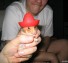 Mexihamster