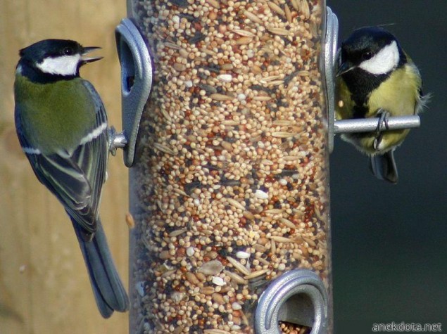 Το φαί είναι συνήθεια 