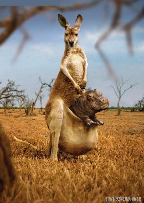 Ωχ λάθος παιδί! 